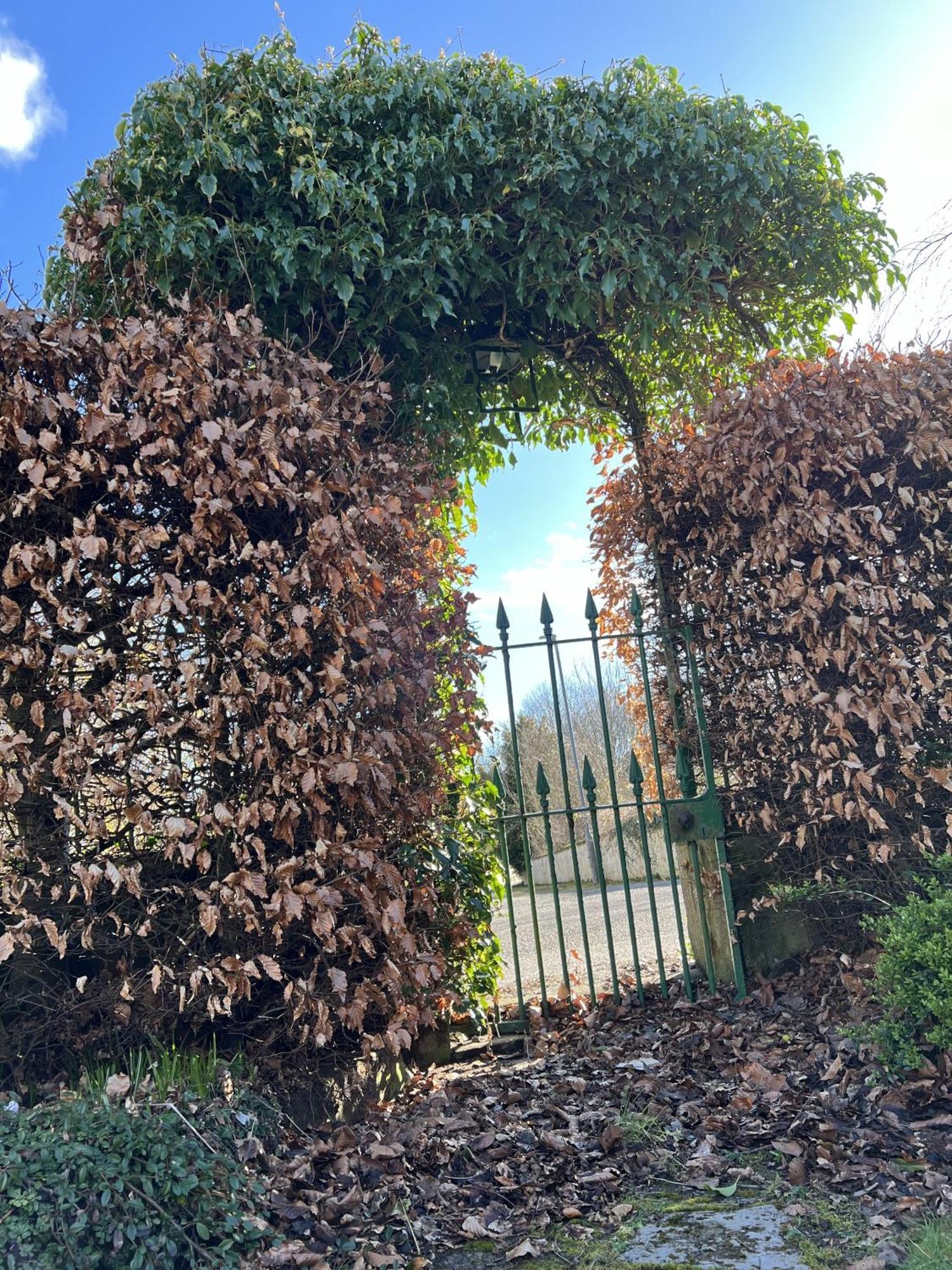 St Duthus Villa Guesthouse Tain Exterior foto